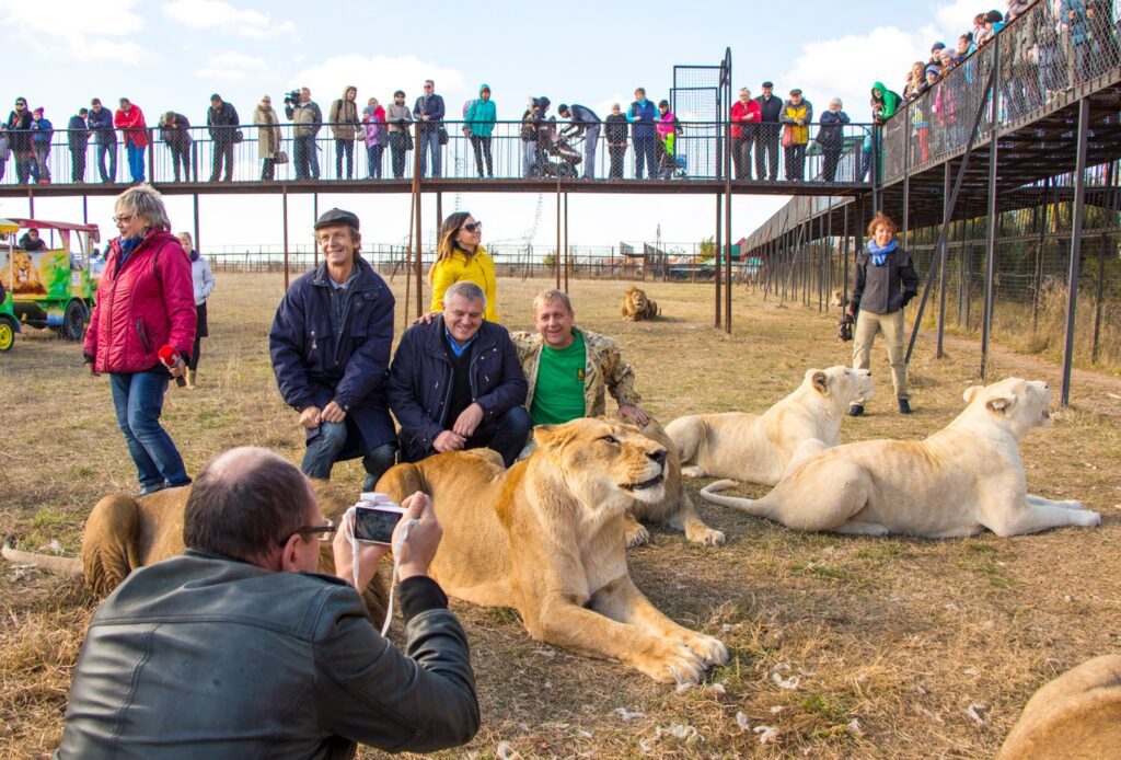 parc des lions agadir - globale explore tours